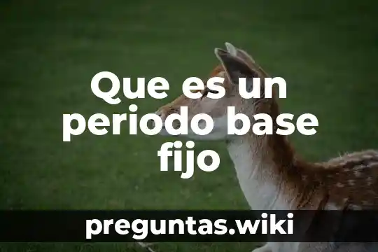 Que es un periodo base fijo