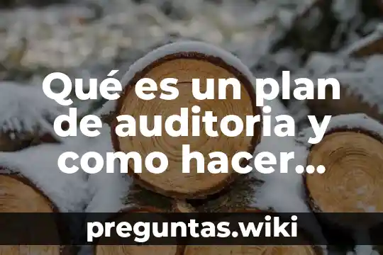 Qué es un plan de auditoria y como hacer uno