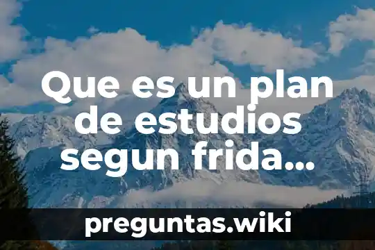 Que es un plan de estudios segun frida diaz barriga