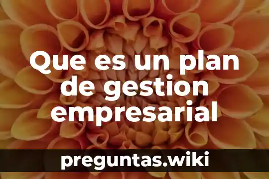 Que es un plan de gestion empresarial