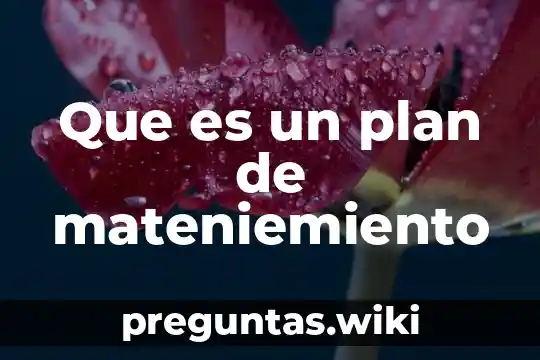 Que es un plan de mateniemiento