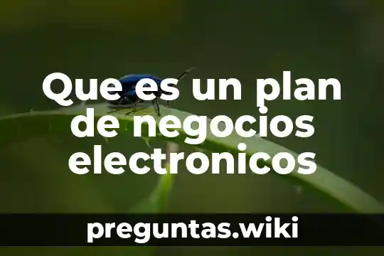 Que es un plan de negocios electronicos