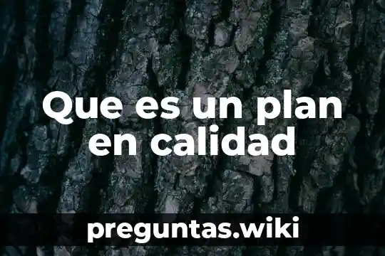 Que es un plan en calidad