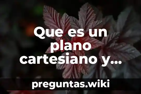 Que es un plano cartesiano y como esta formado