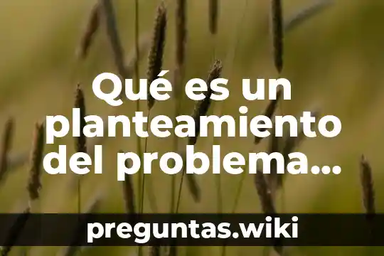 Qué es un planteamiento del problema en una estética