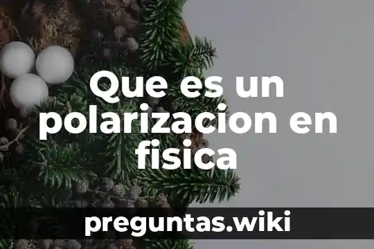 Que es un polarizacion en fisica