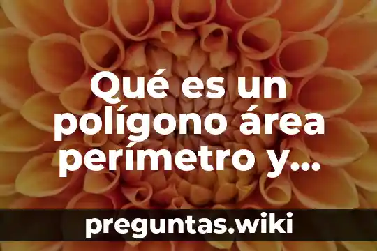 Qué es un polígono área perímetro y tipos que hay