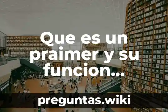 Que es un praimer y su funcion genetica