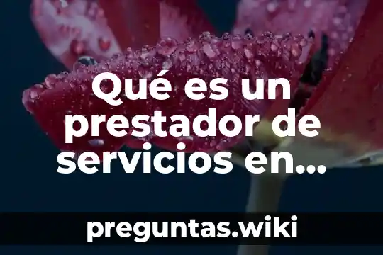 Qué es un prestador de servicios en derecho