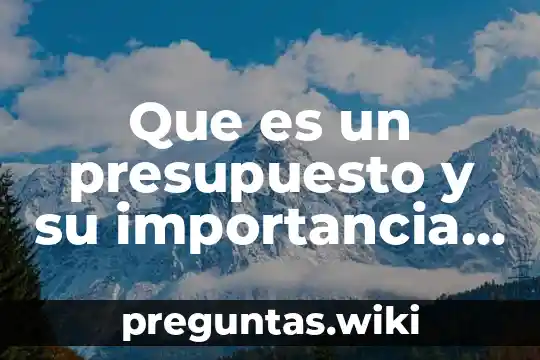 Que es un presupuesto y su importancia libro