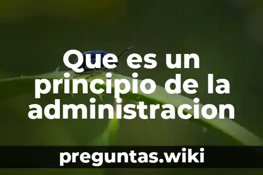 Que es un principio de la administracion