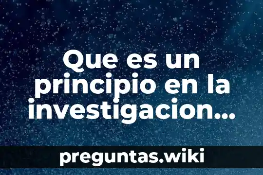 Que es un principio en la investigacion libro