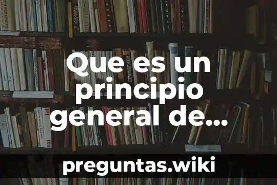 Que es un principio general de derecho
