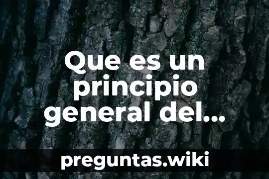 Que es un principio general del derecho de la