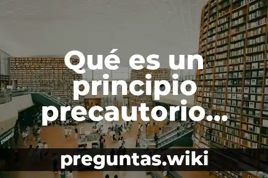 Qué es un principio precautorio dos ejemplos