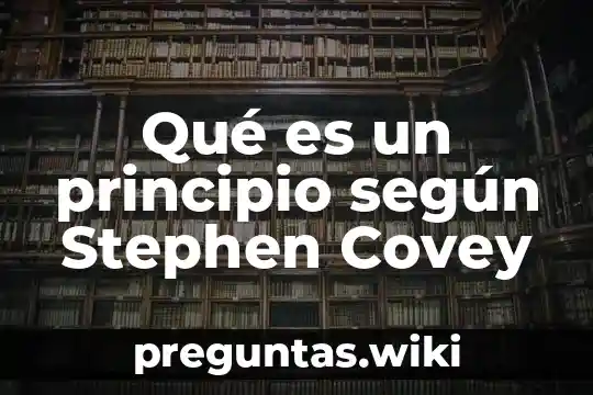 Qué es un principio según Stephen Covey