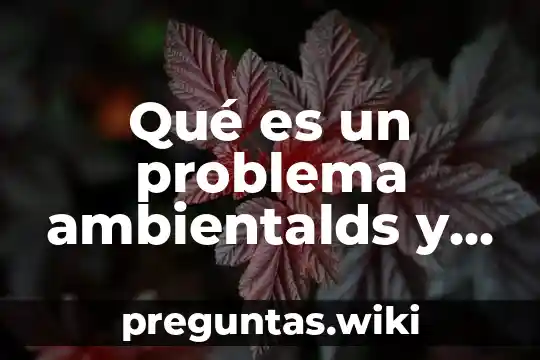 Qué es un problema ambientalds y cuales son