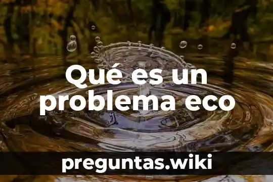 Qué es un problema eco