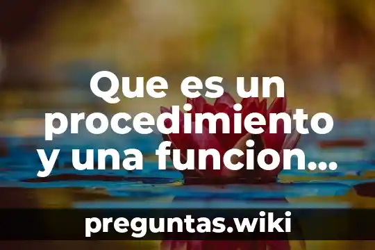 Que es un procedimiento y una funcion en programacion