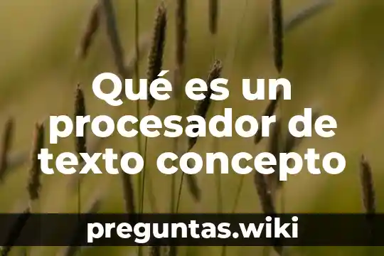 Qué es un procesador de texto concepto
