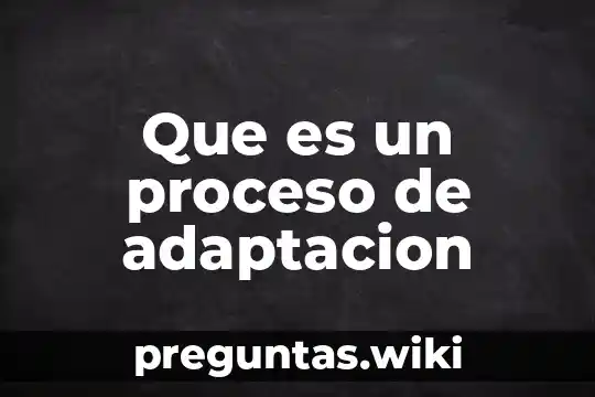 Que es un proceso de adaptacion