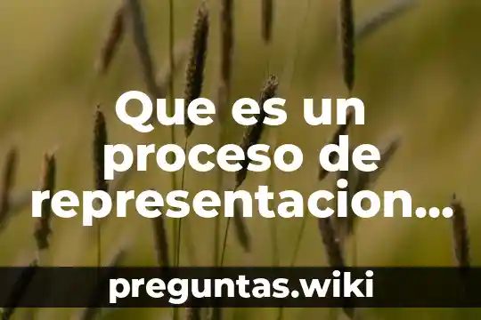Que es un proceso de representacion tecnica