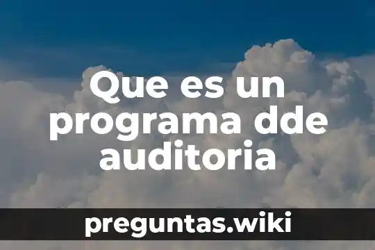 Que es un programa dde auditoria