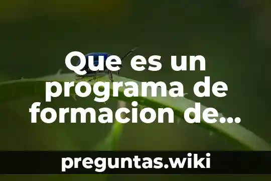 Que es un programa de formacion de competencias laboral