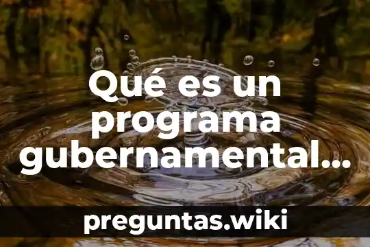 Qué es un programa gubernamental definición