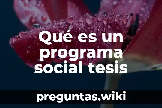 Qué es un programa social tesis