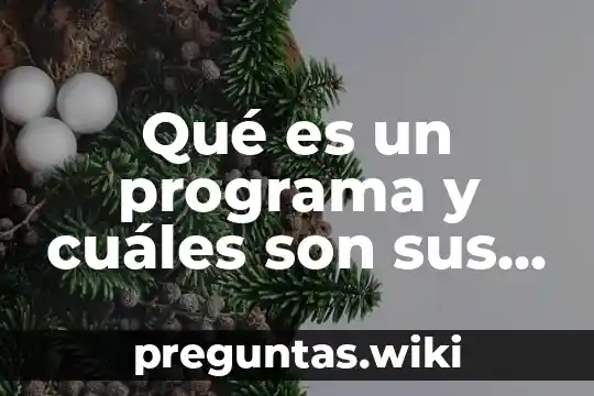 Qué es un programa y cuáles son sus características