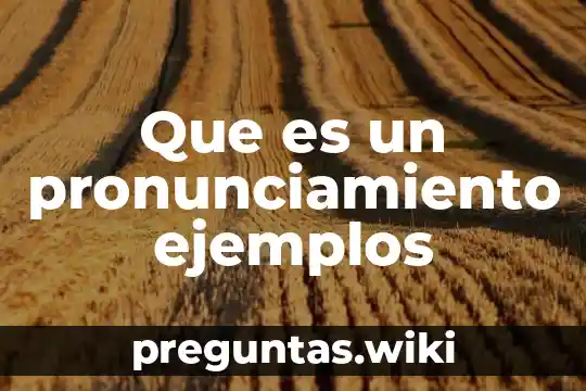 Que es un pronunciamiento ejemplos