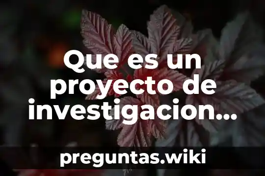 Que es un proyecto de investigacion segun autores