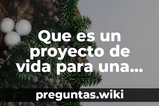Que es un proyecto de vida para una sociedad