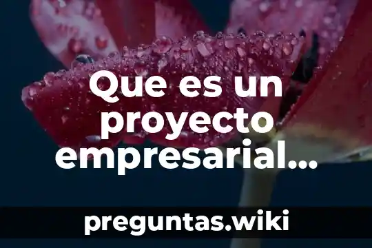 Que es un proyecto empresarial teorico