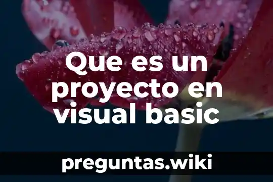 Que es un proyecto en visual basic