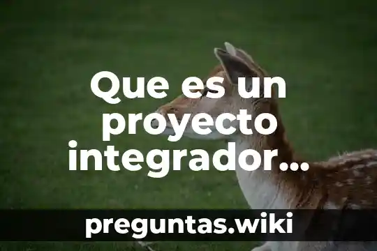 Que es un proyecto integrador concepto general por favor