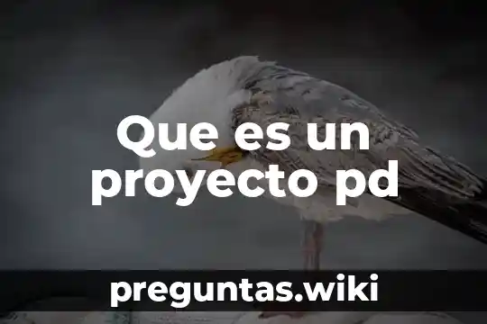 Que es un proyecto pd