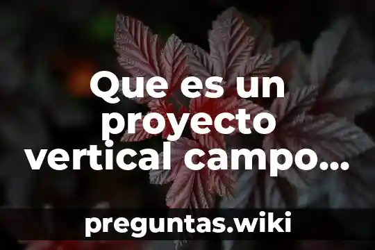 Que es un proyecto vertical campo y gabinete en carreteras