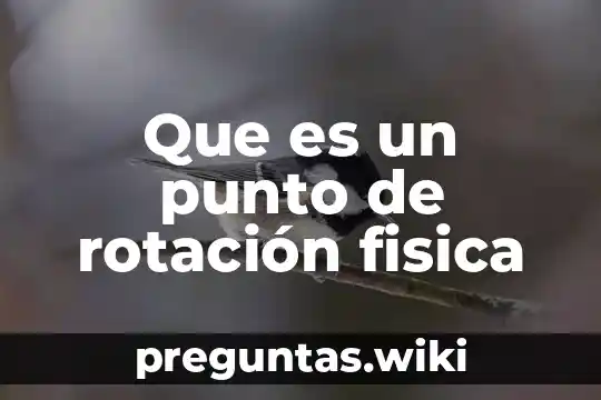 Que es un punto de rotación fisica