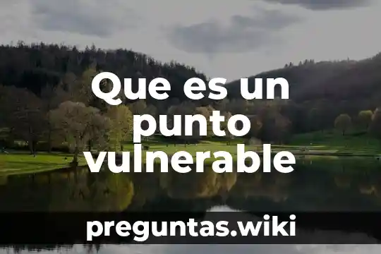 Que es un punto vulnerable