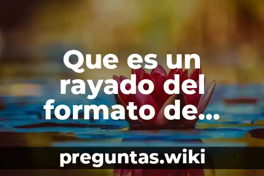 Que es un rayado del formato de poliza