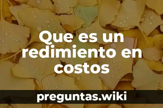 Que es un redimiento en costos