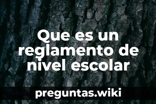 Que es un reglamento de nivel escolar