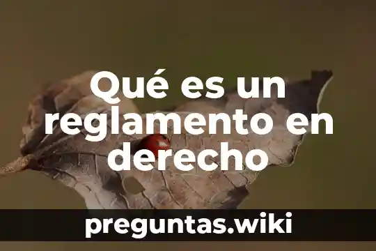 Qué es un reglamento en derecho