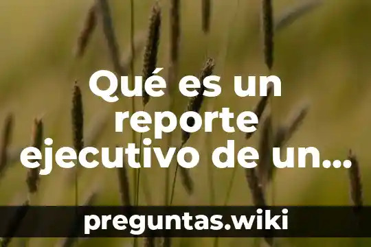 Qué es un reporte ejecutivo de un proyecto