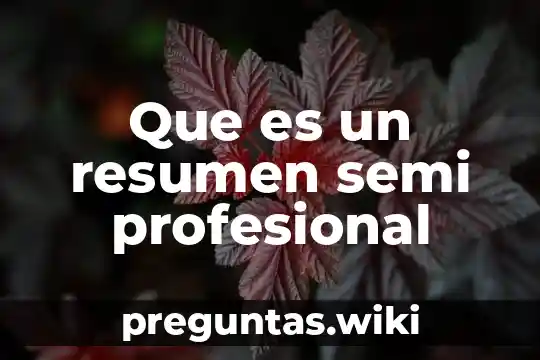 Que es un resumen semi profesional
