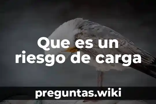 Que es un riesgo de carga
