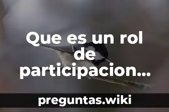 Que es un rol de participacion en educacion fisica tipos