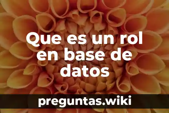 Que es un rol en base de datos